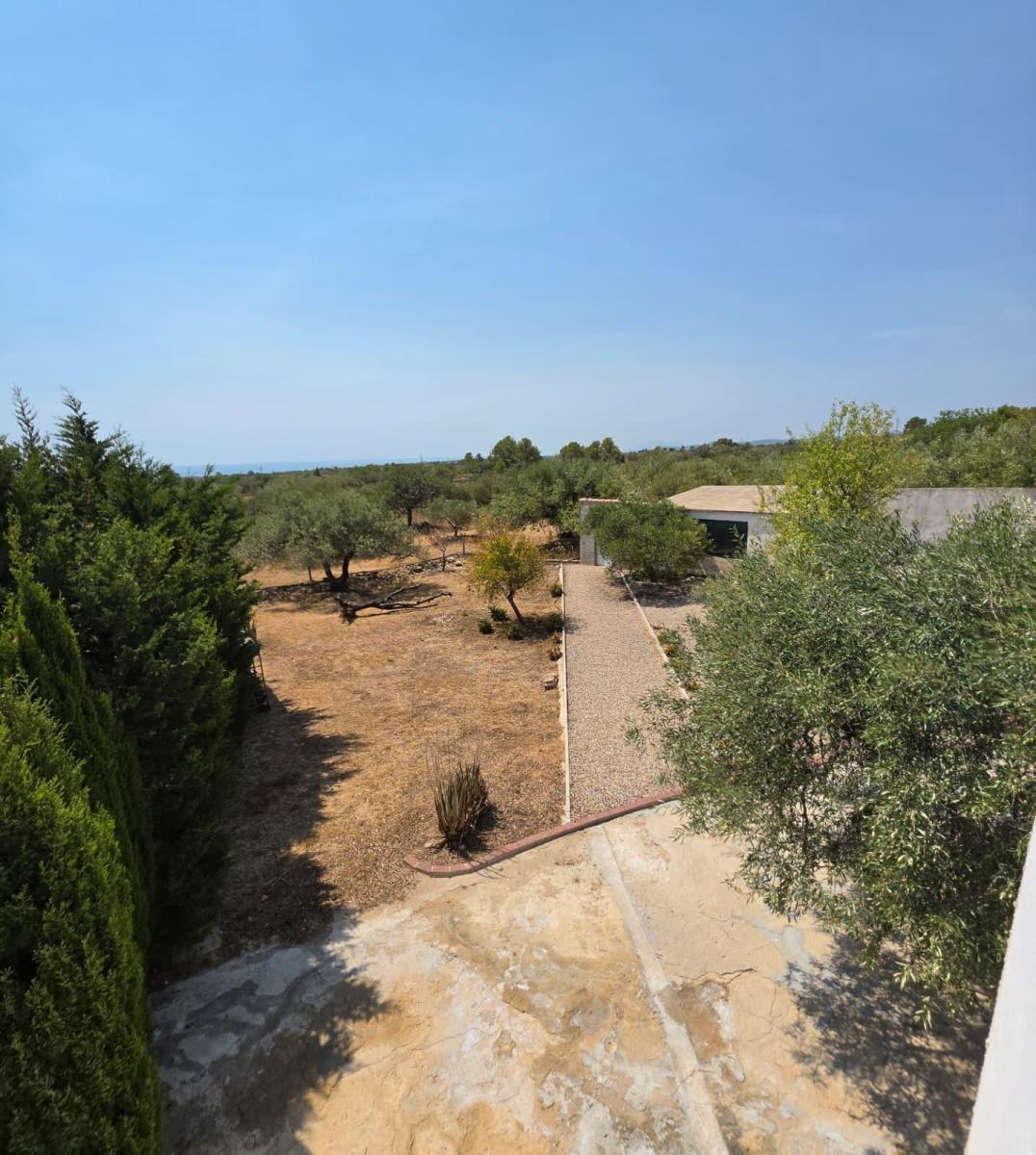 Finca en Venta en Vandellòs
