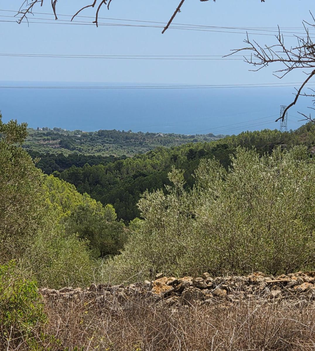 Finca en Venta en El Perelló