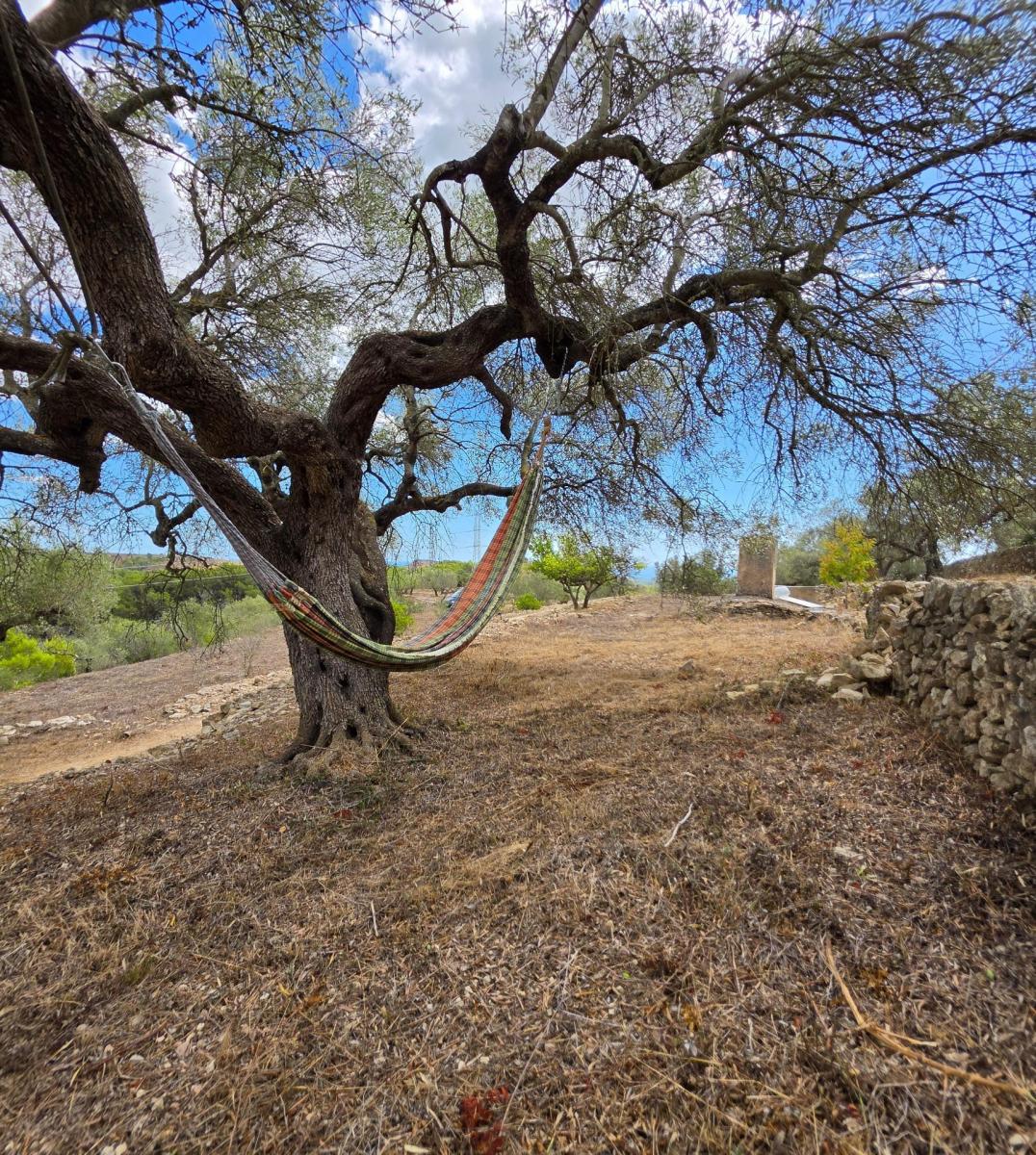Finca en Venta en El Perelló