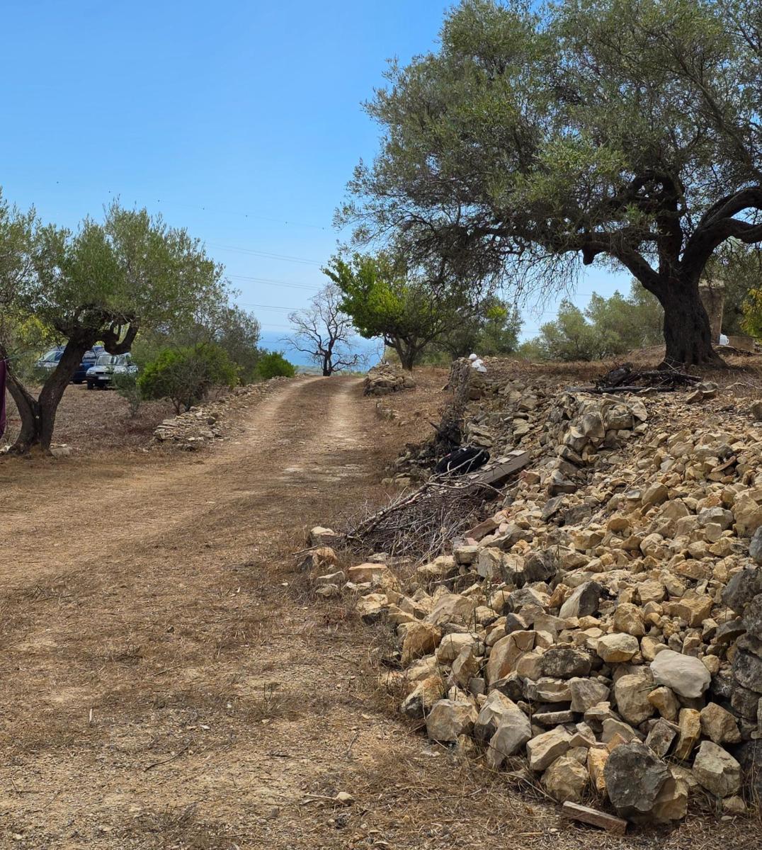 Finca en Venta en El Perelló