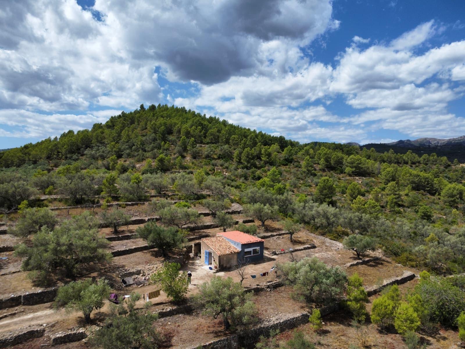 Finca en Venta en El Perelló