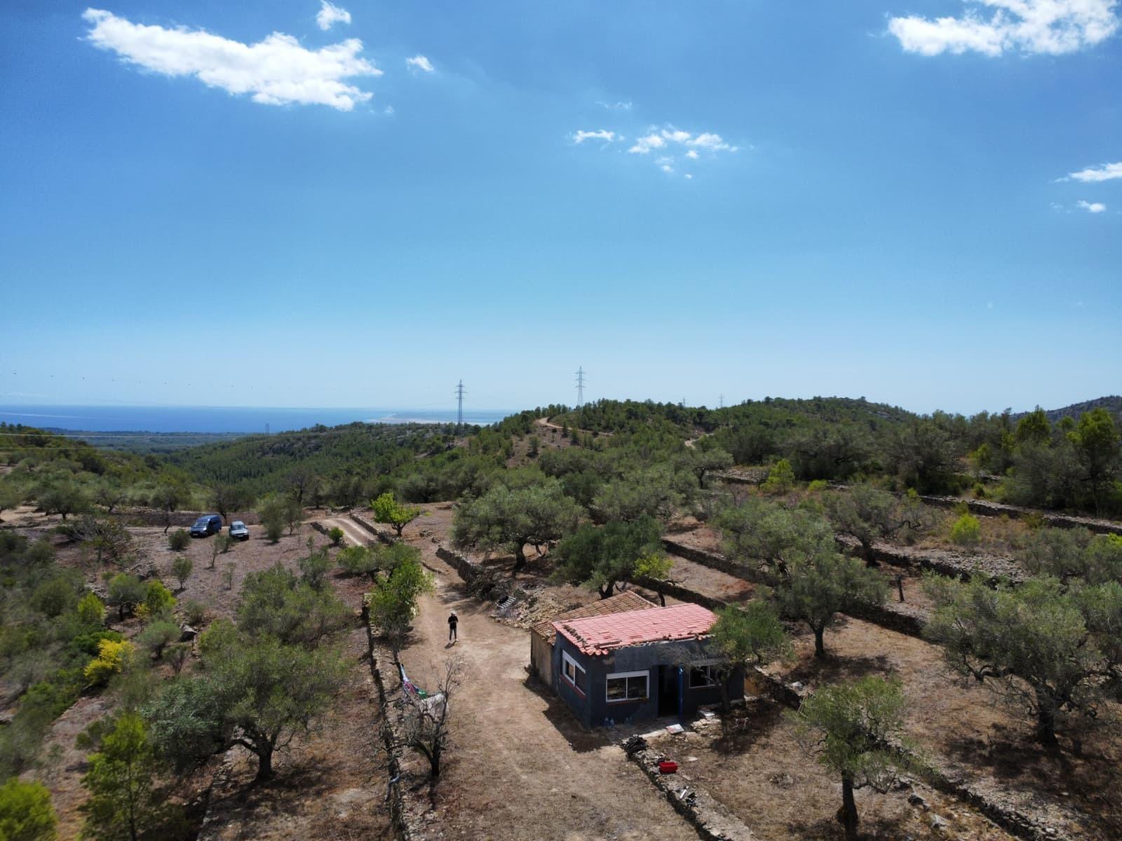 Finca en Venta en El Perelló