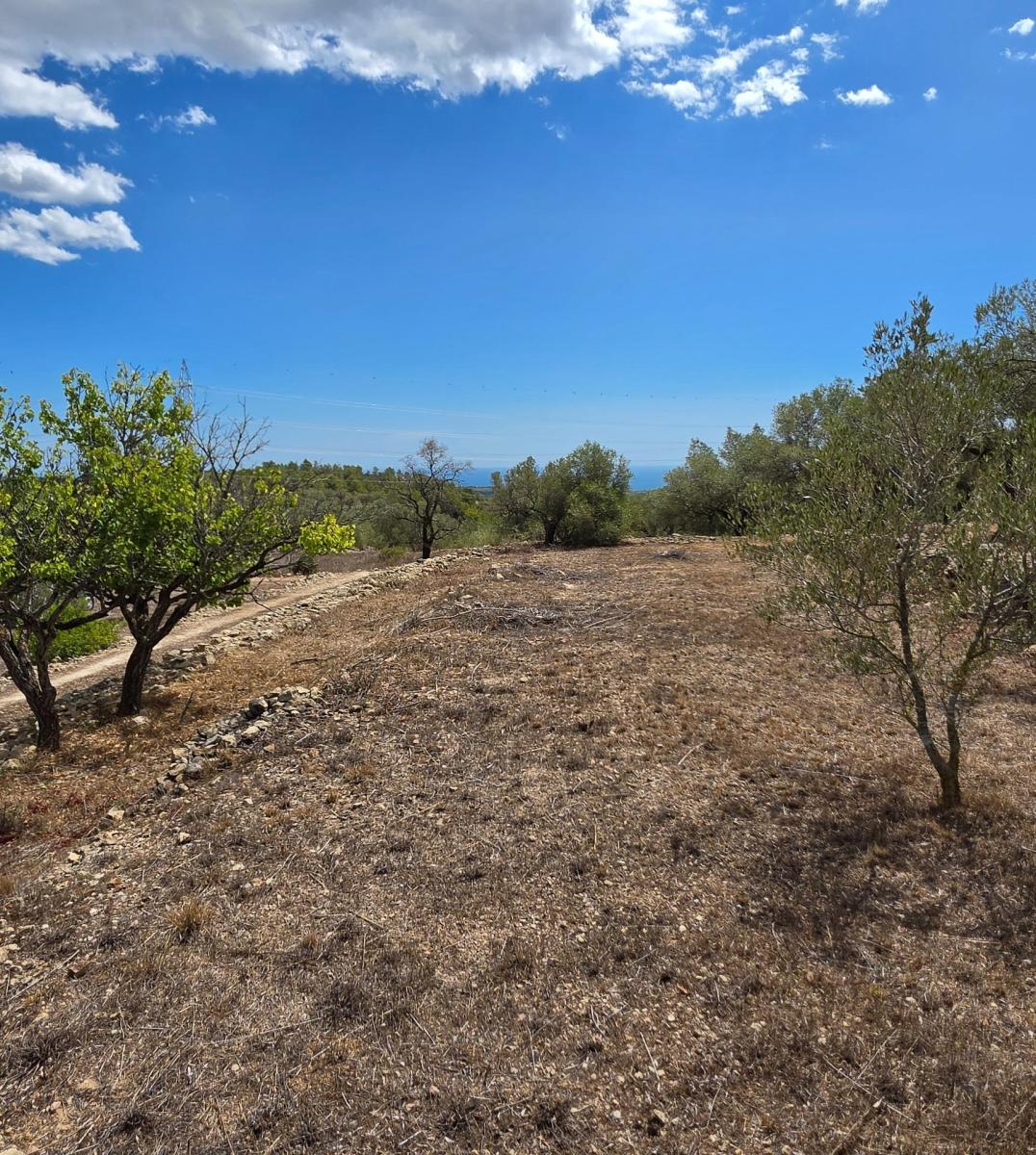 Finca en Venta en El Perelló