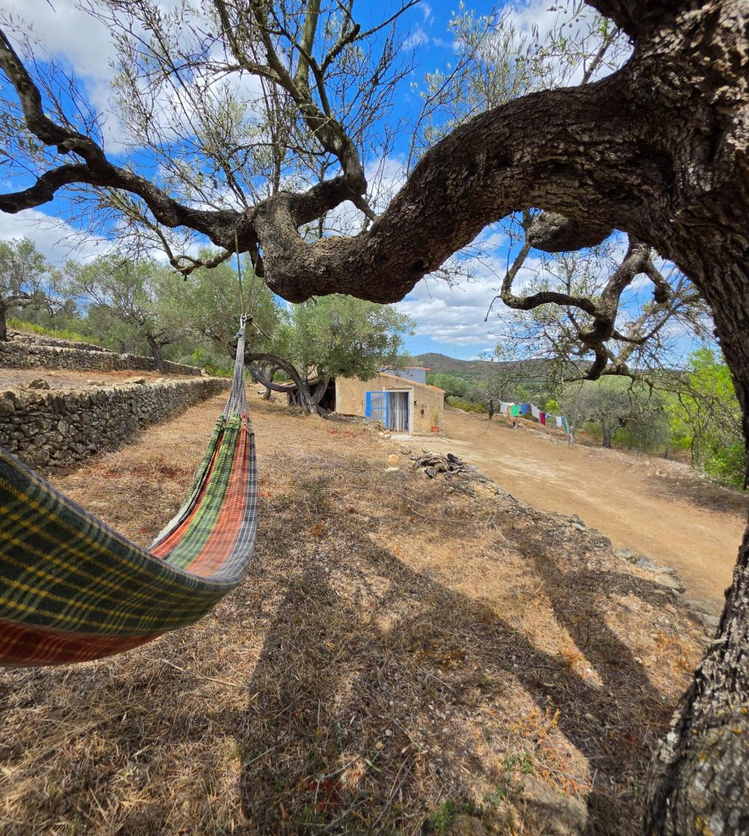 Finca en Venta en El Perelló