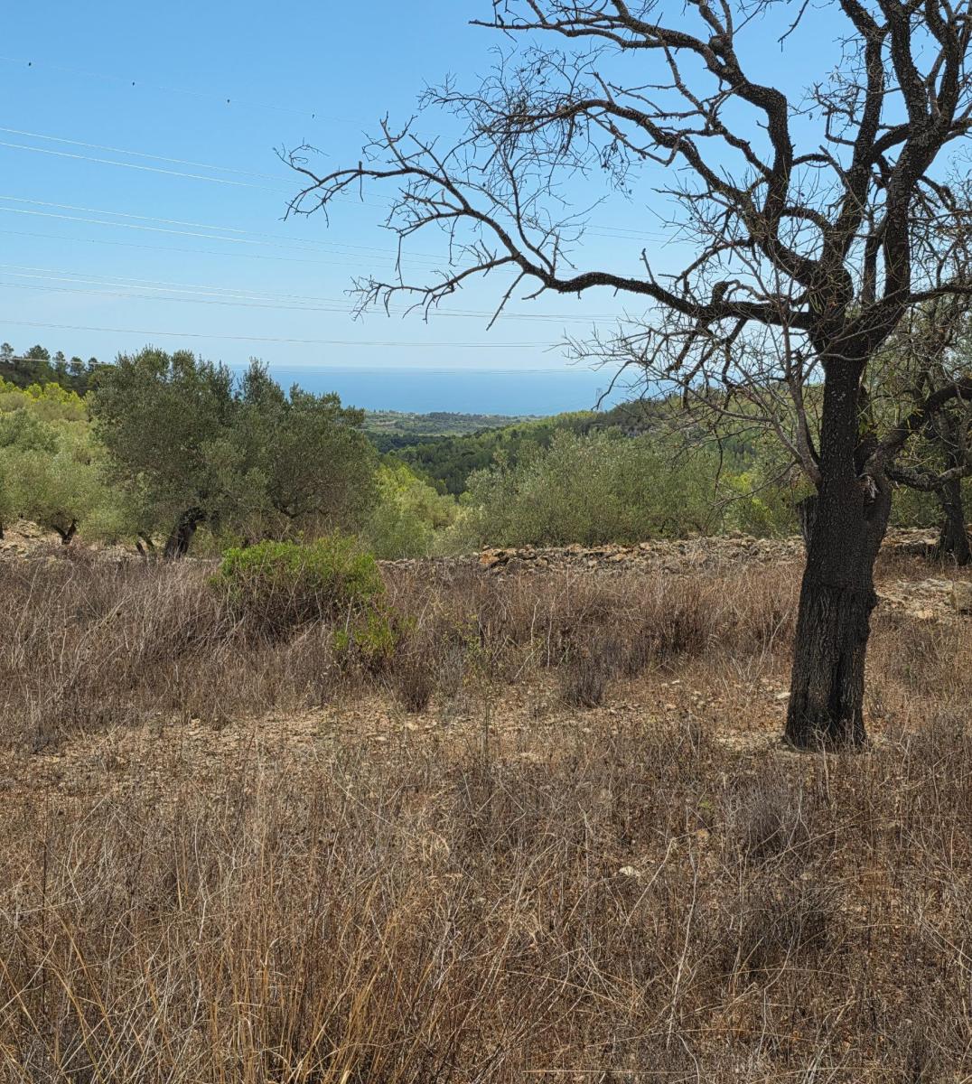 Finca en Venta en El Perelló