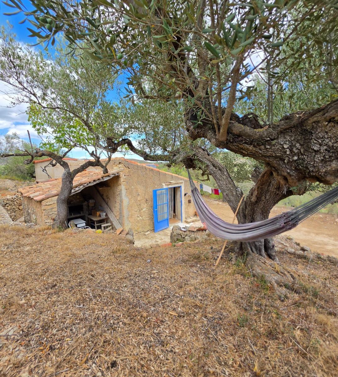 Finca en Venta en El Perelló