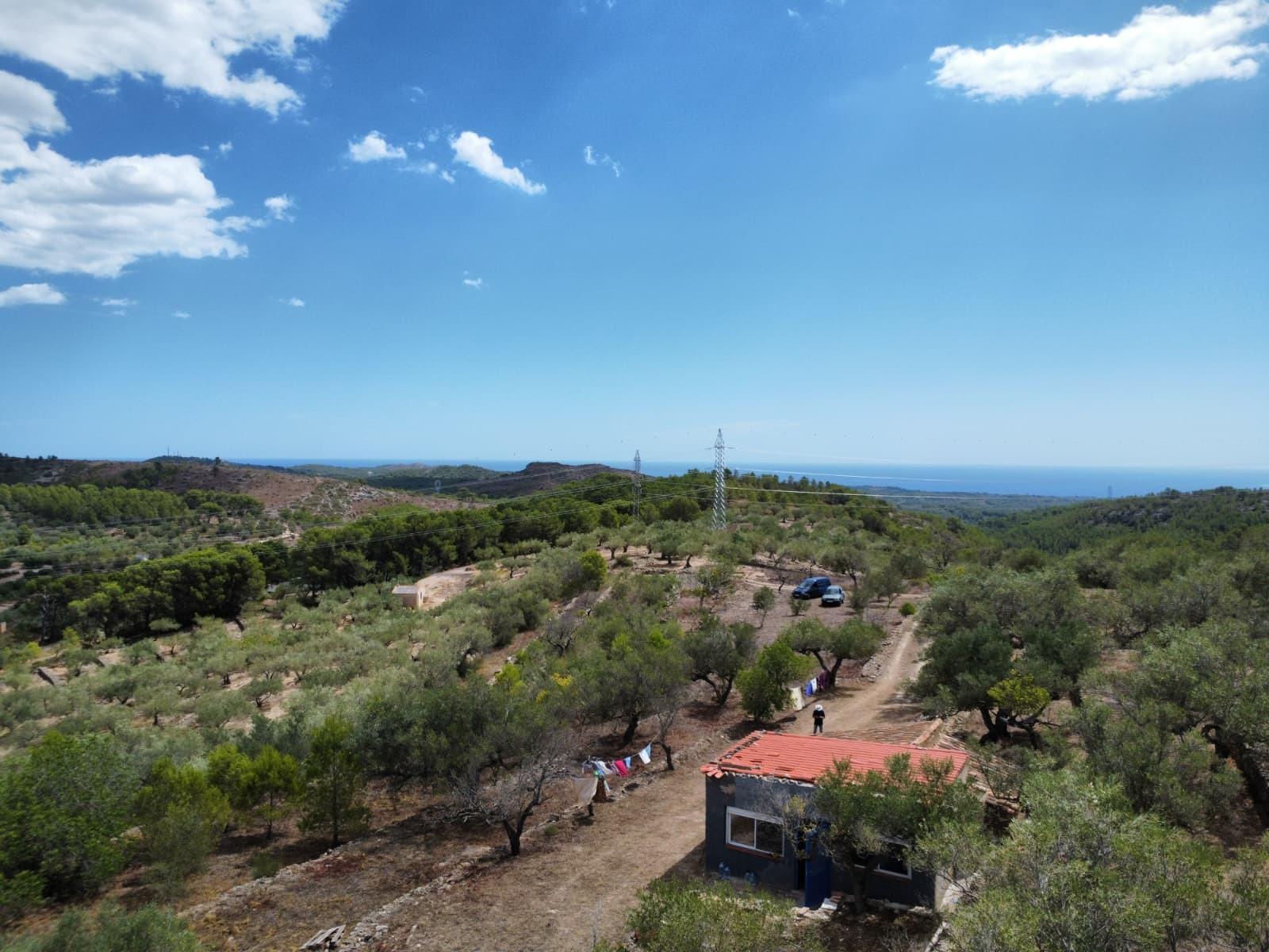 Finca en Venta en El Perelló