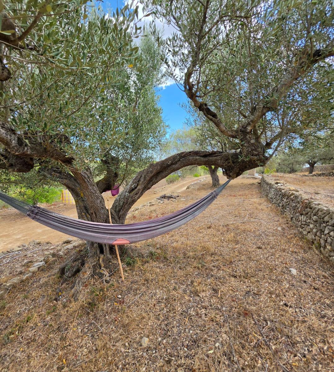 Finca en Venta en El Perelló