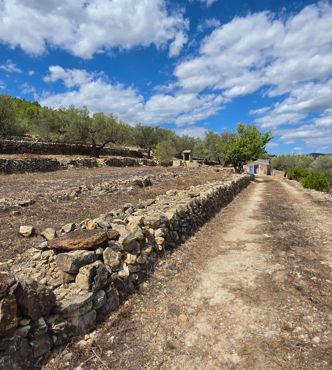 Finca en Venta en El Perelló