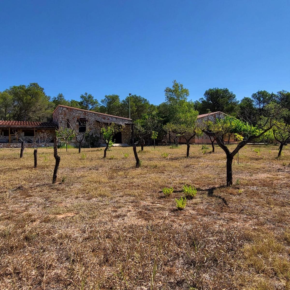 Finca en Venta en El Perelló