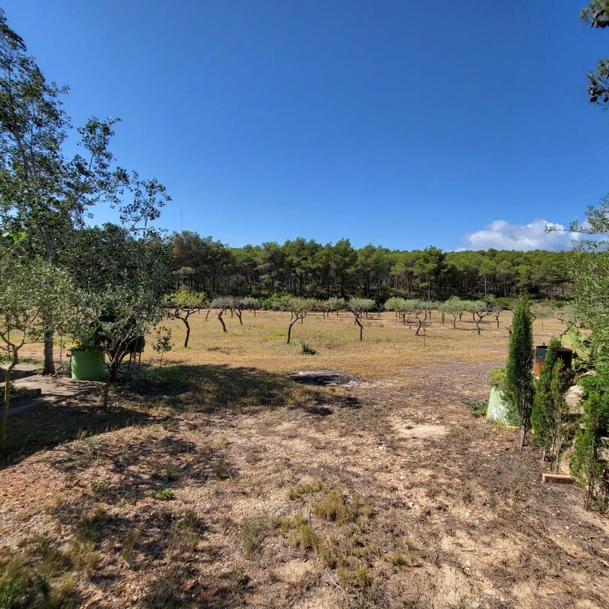 Finca en Venta en El Perelló