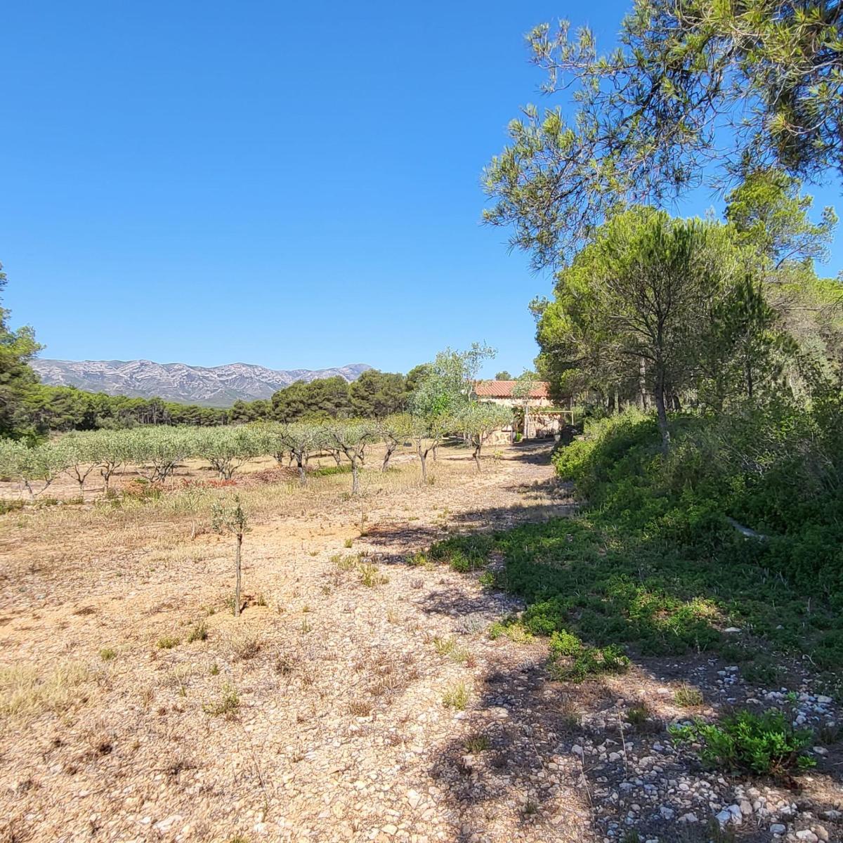 Finca en Venta en El Perelló
