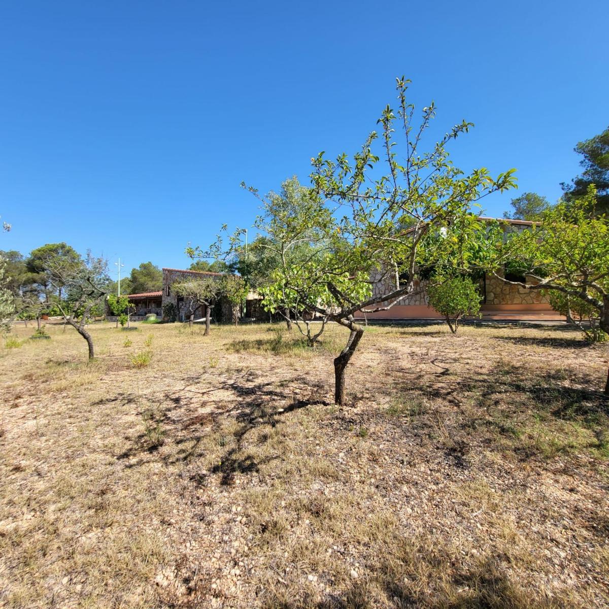 Finca en Venta en El Perelló