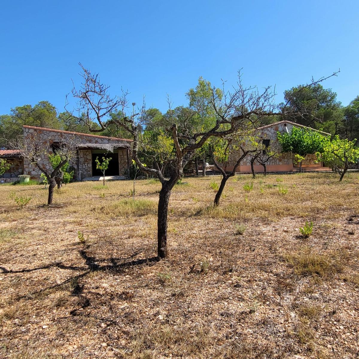 Finca en Venta en El Perelló