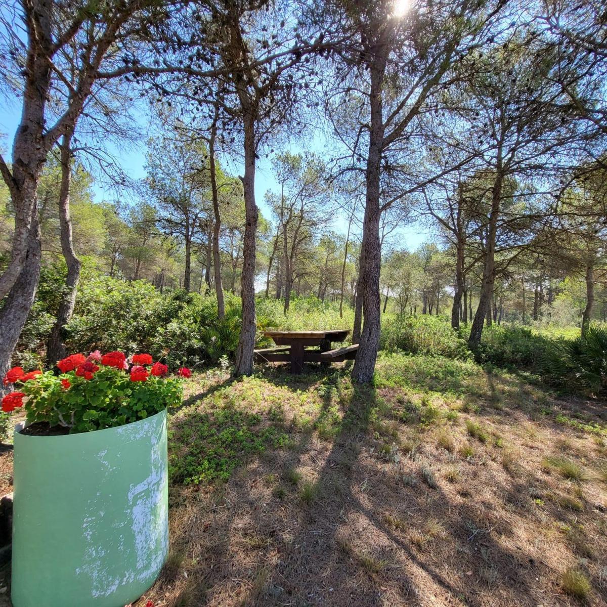 Finca en Venta en El Perelló