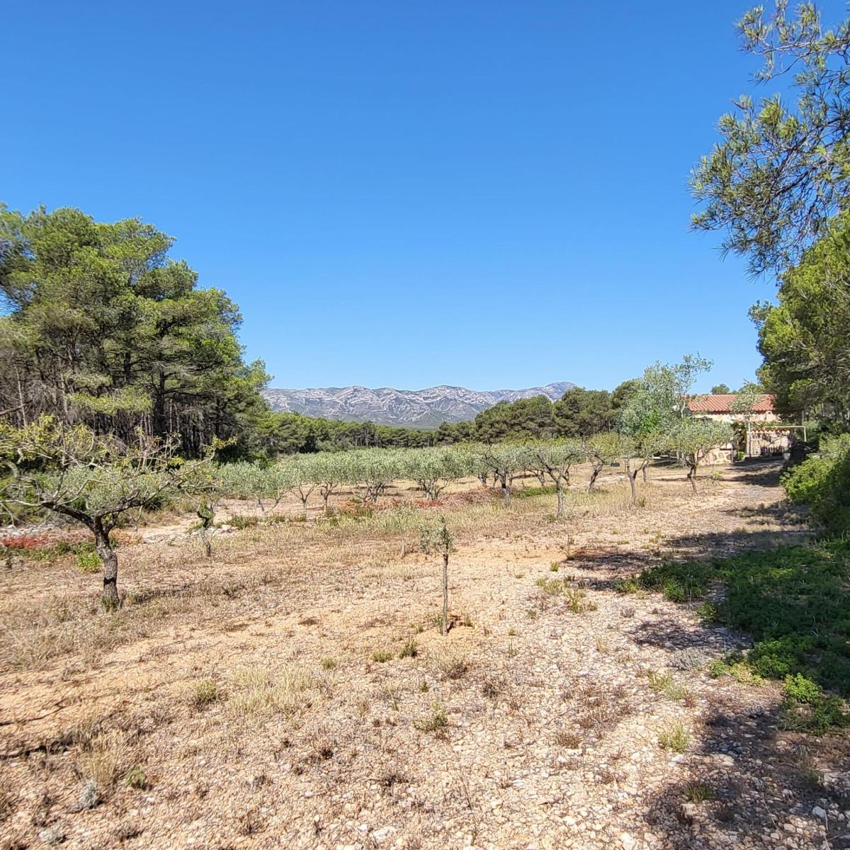 Finca en Venta en El Perelló