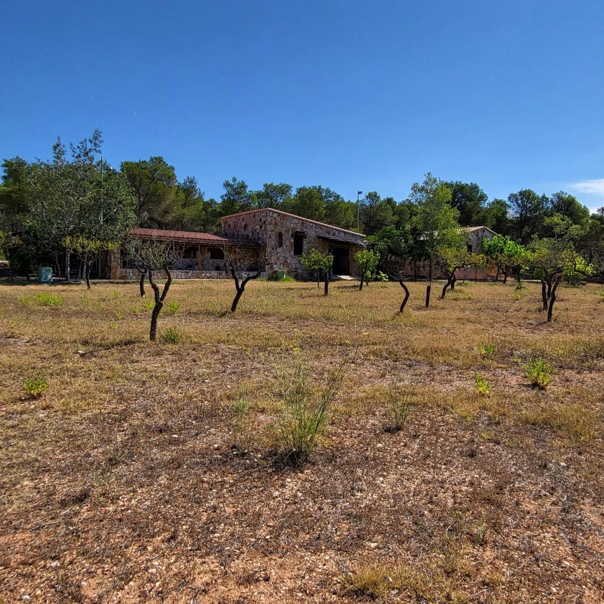 Finca en Venta en El Perelló