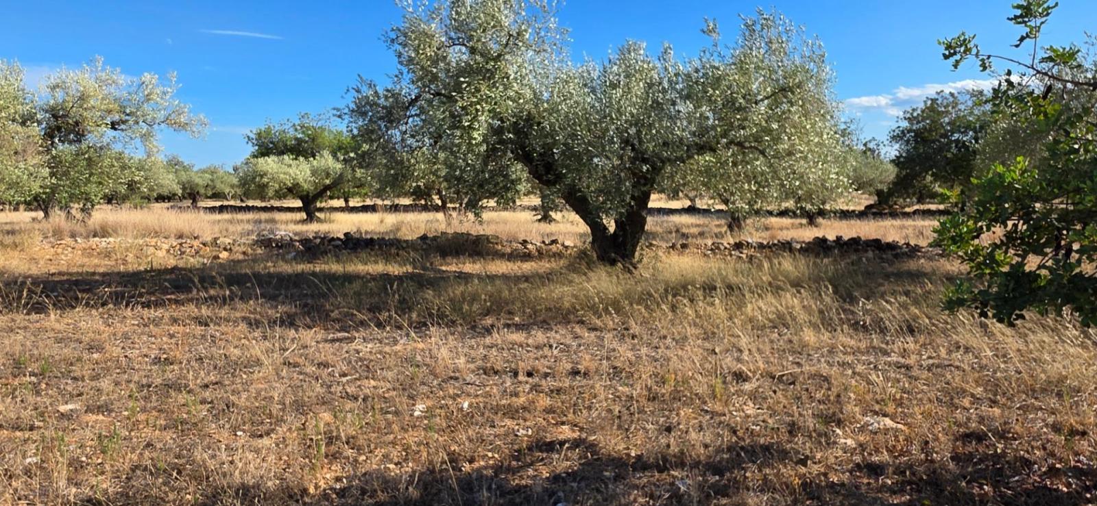 Finca en Venta en L' Ametlla de Mar