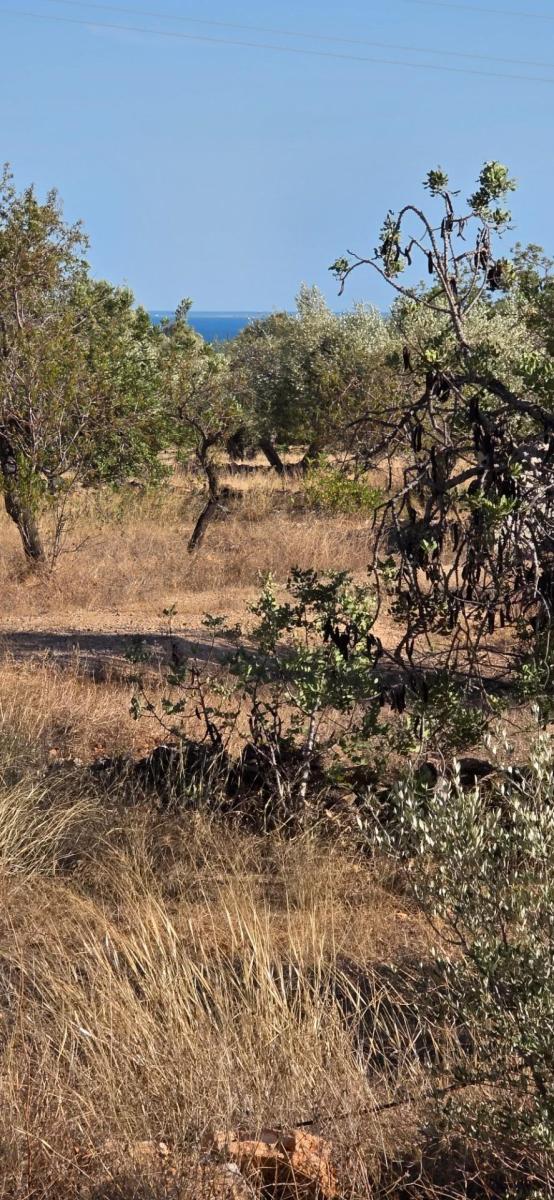 Finca en Venta en L' Ametlla de Mar
