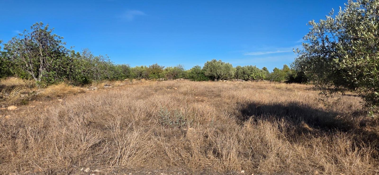 Finca en Venta en L' Ametlla de Mar