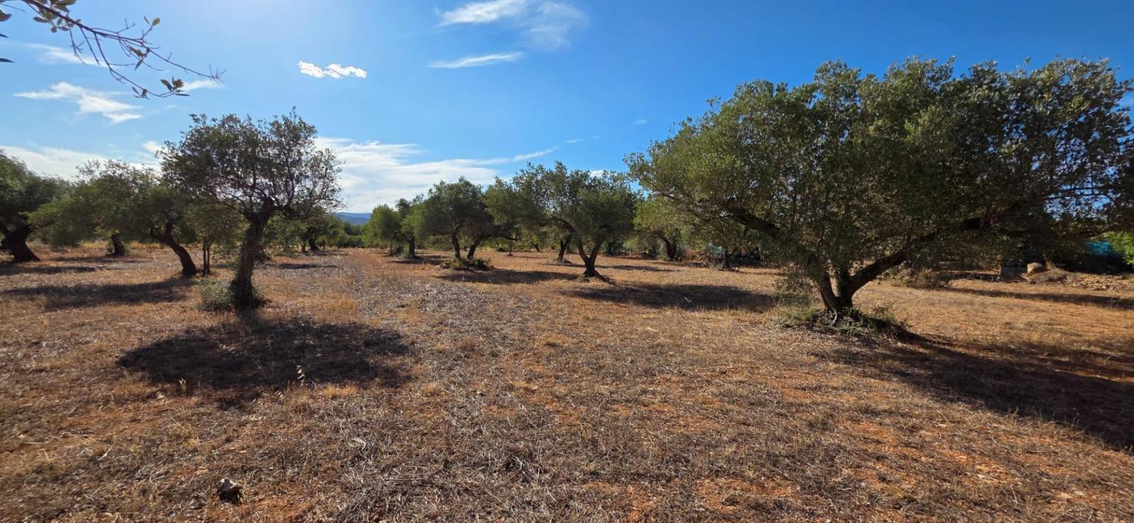 Finca en Venta en L' Ametlla de Mar