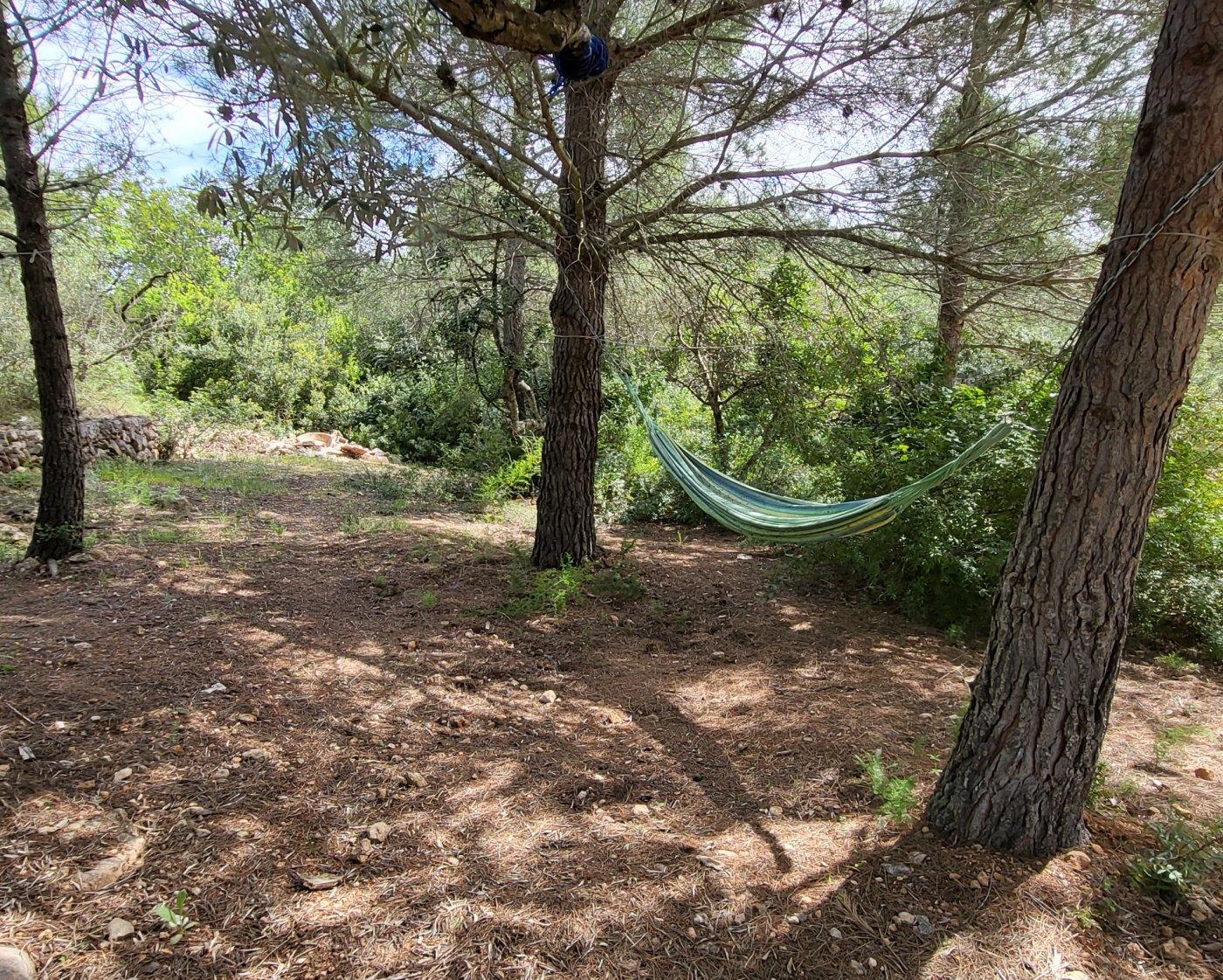Finca en Venta en L' Ametlla de Mar
