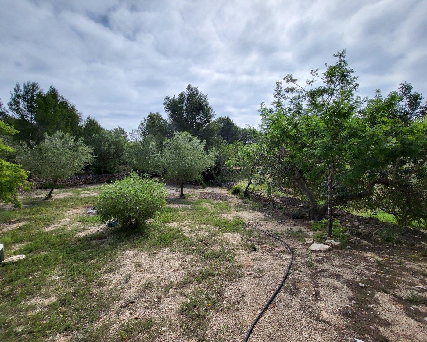 Finca en Venta en L' Ametlla de Mar