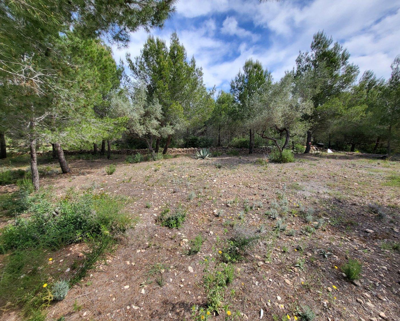 Finca en Venta en L' Ametlla de Mar