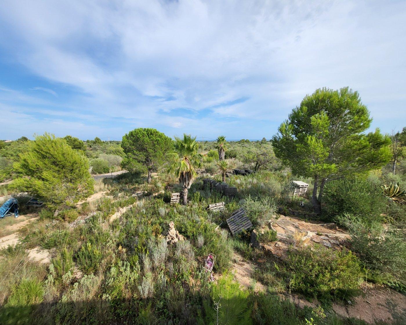Finca en Venta en L' Ametlla de Mar