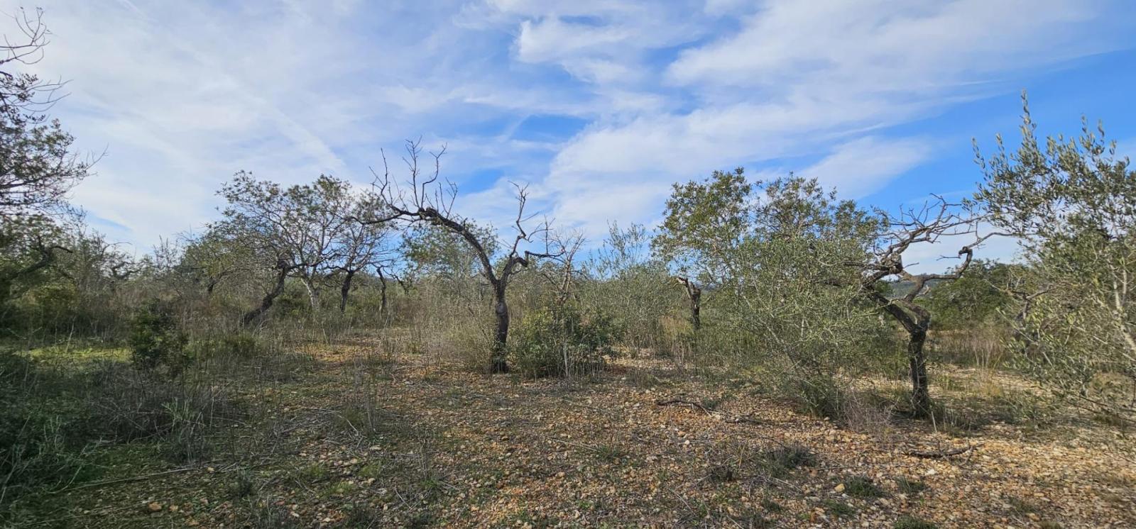 Finca en Venta en El Perelló