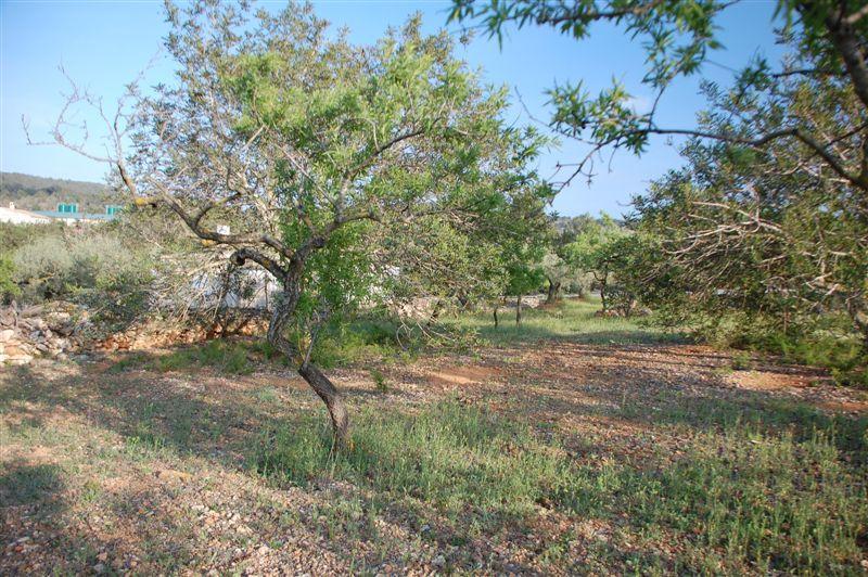Finca en Venta en El Perelló