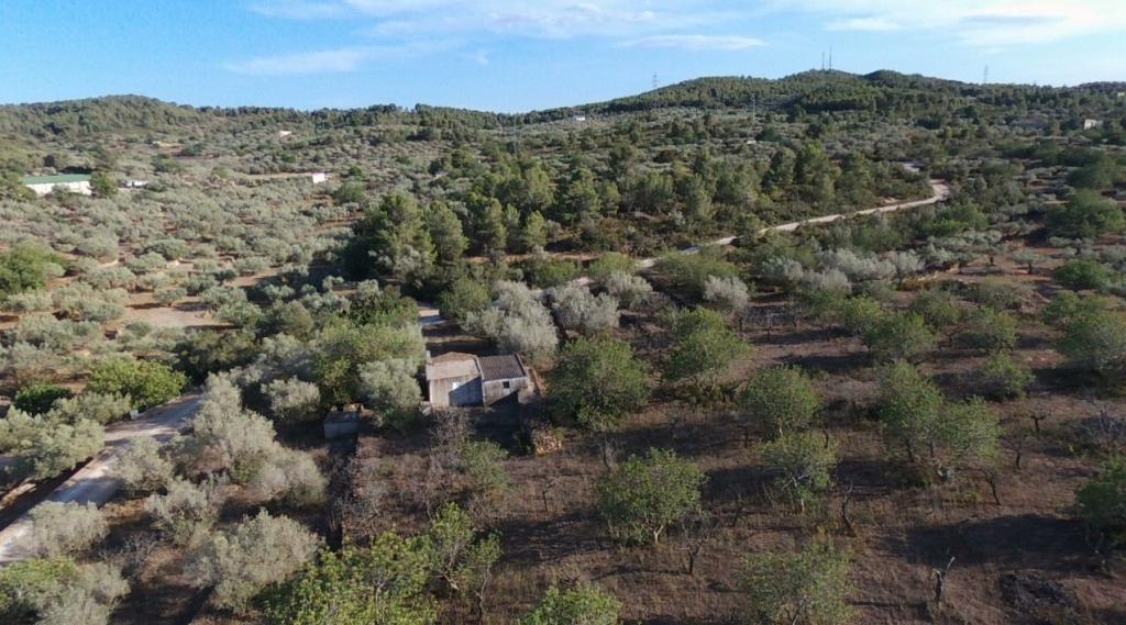 Finca en Venta en El Perelló