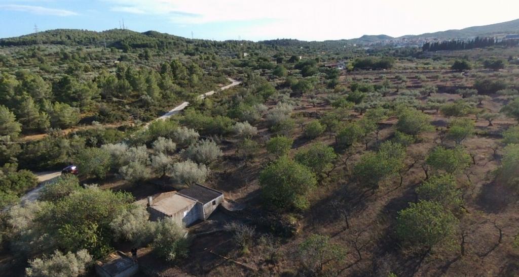 Finca en Venta en El Perelló