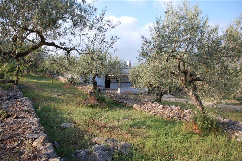 Finca en Venta en El Perelló
