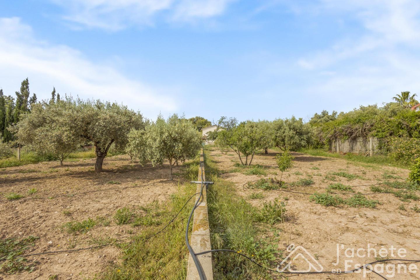 Villa en Venta en San Vicente del Raspeig