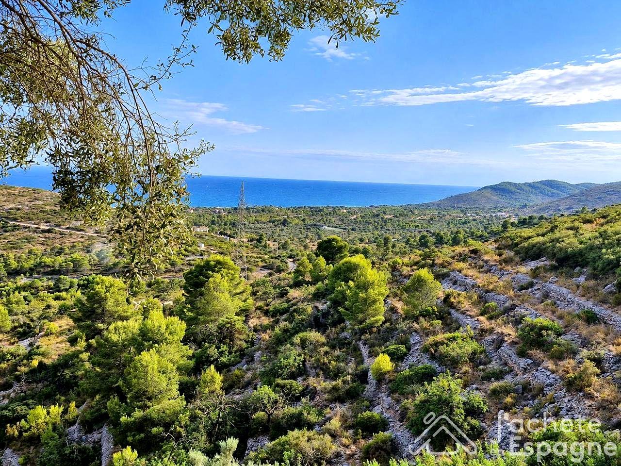 Building Site for Sale in Peñíscola