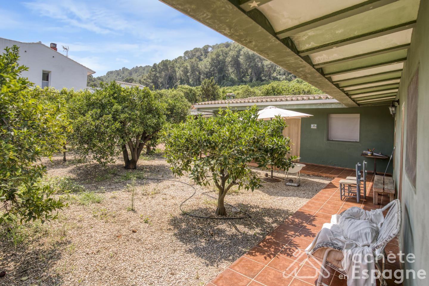 Finca en Venta en Alzira