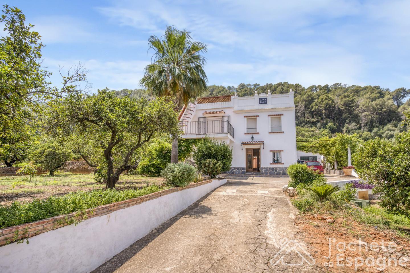 Finca en Venta en Alzira