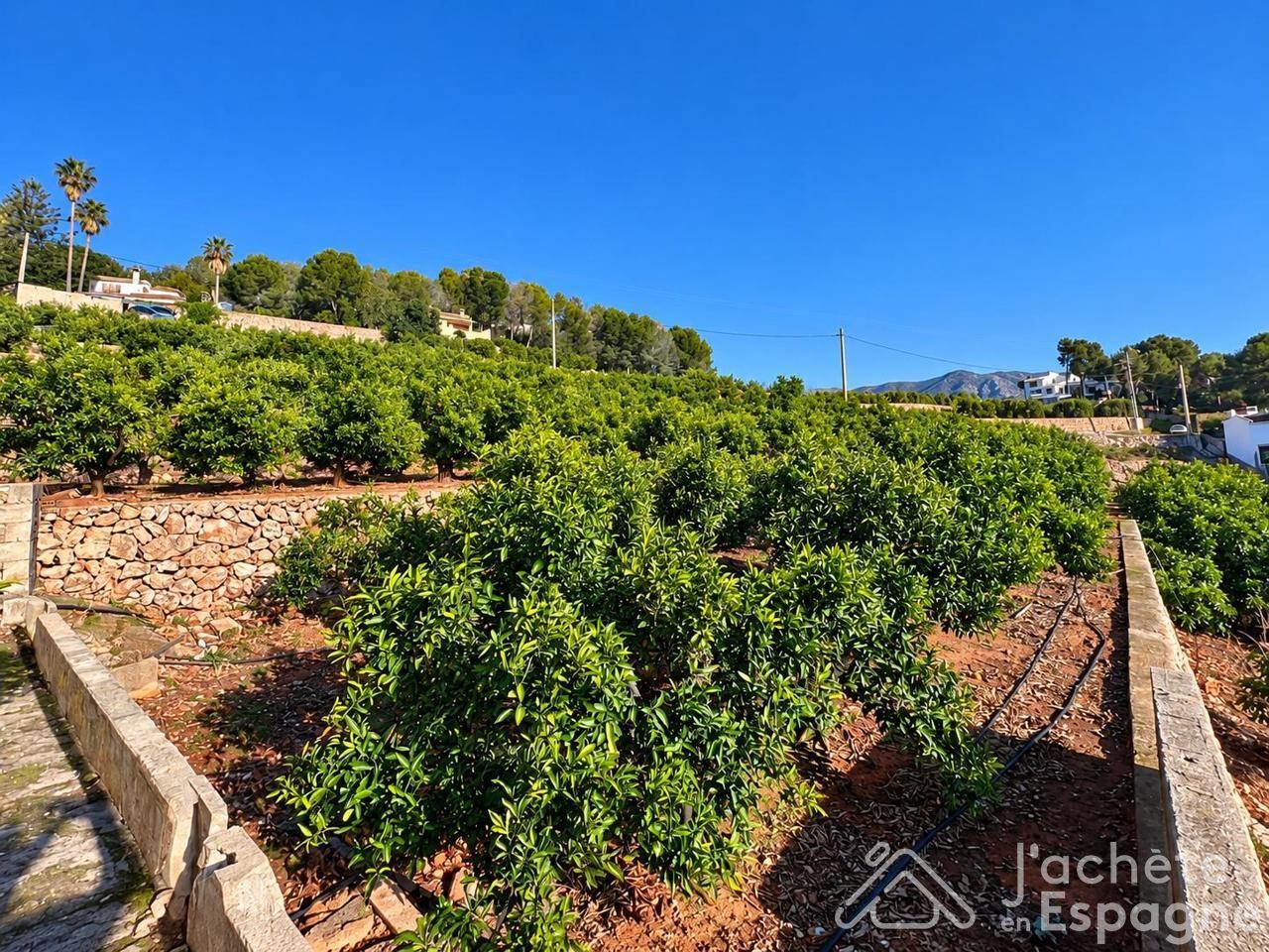 Building Site for Sale in Benifairó de la Valldigna