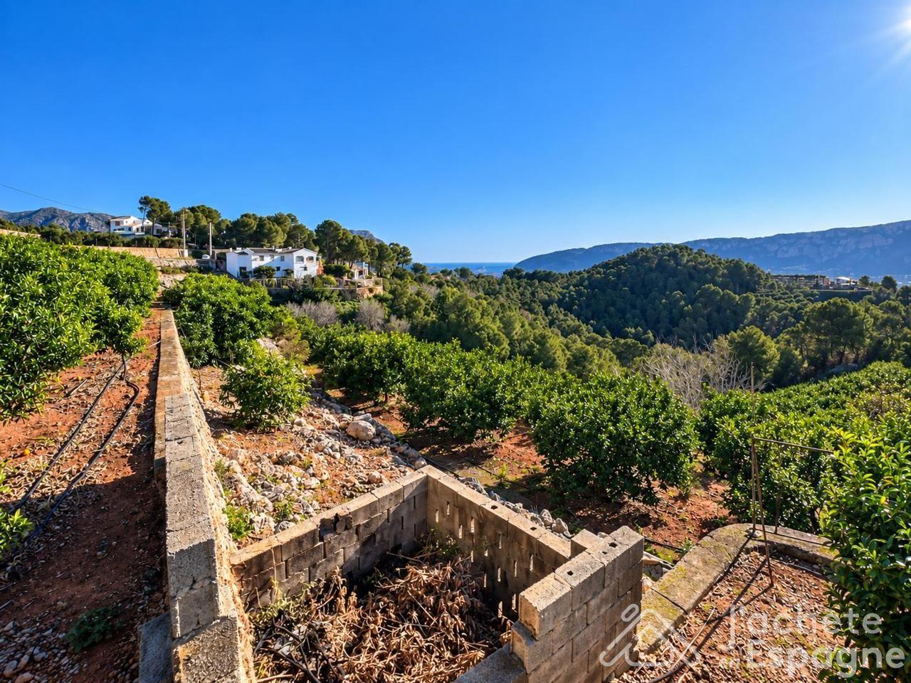 Building Site for Sale in Benifairó de la Valldigna
