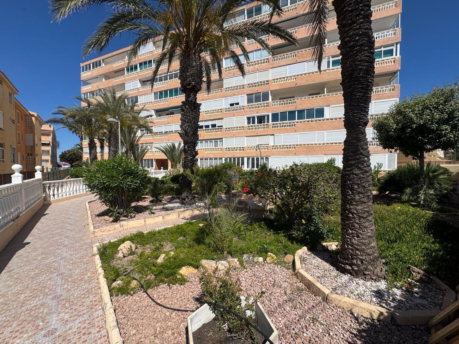 Studio for Sale in Torrevieja