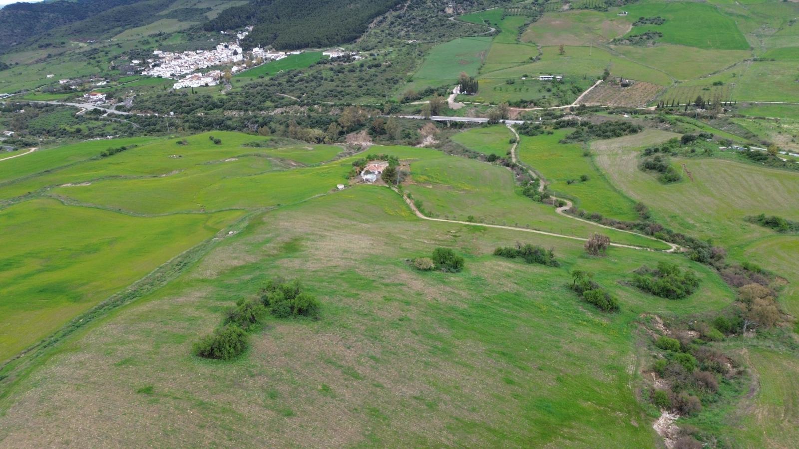 Plot for Sale in Montecorto