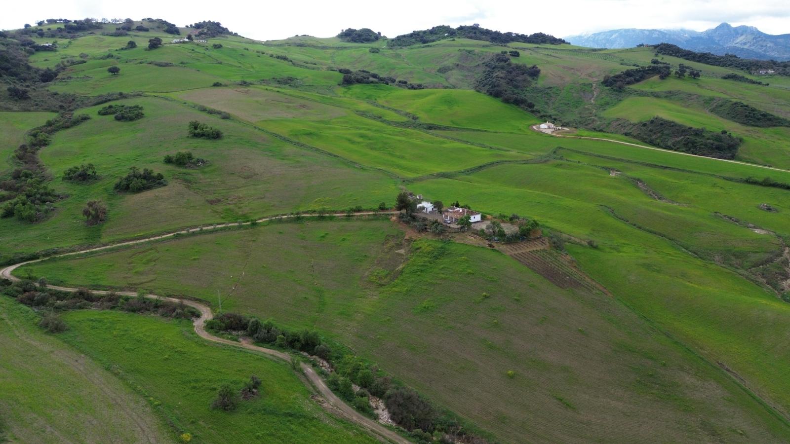 Plot for Sale in Montecorto