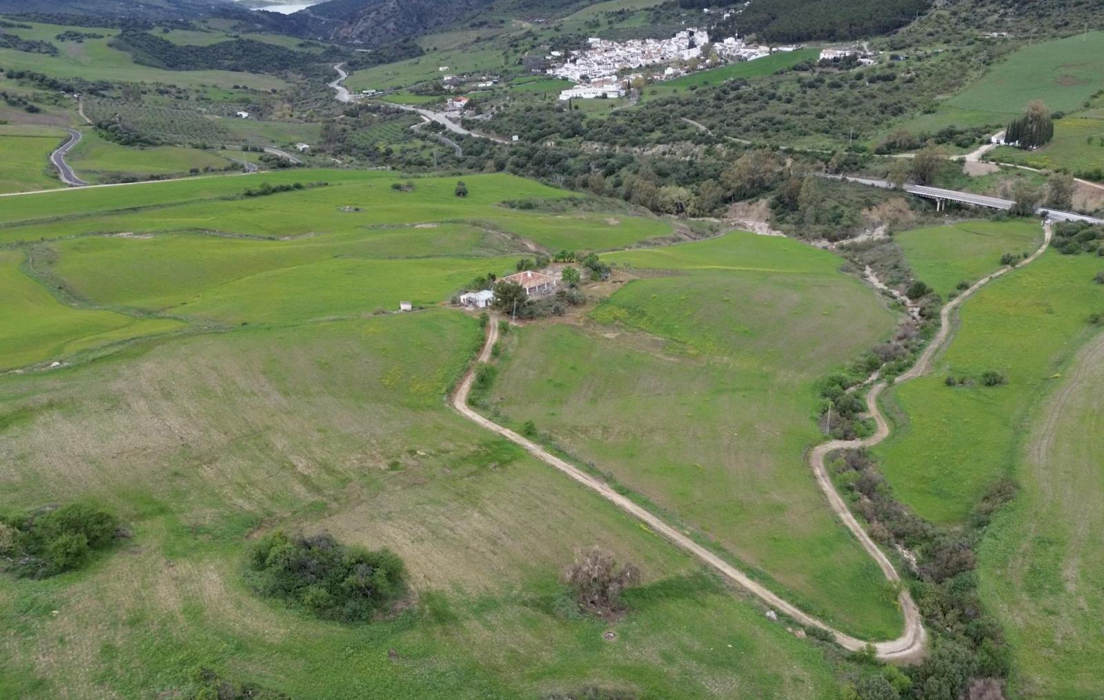 Plot for Sale in Montecorto