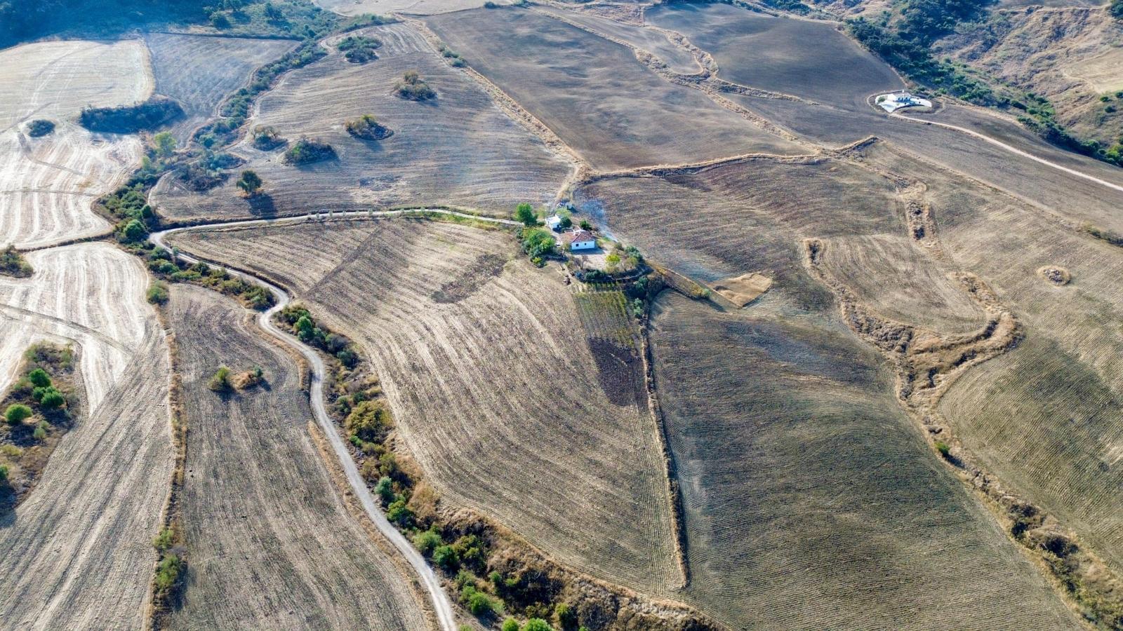 Plot for Sale in Montecorto