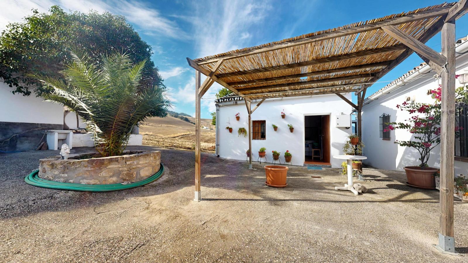 Plot for Sale in Montecorto