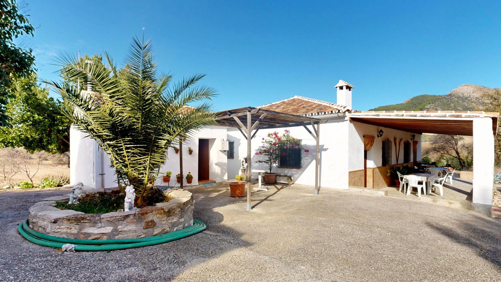 Plot for Sale in Montecorto