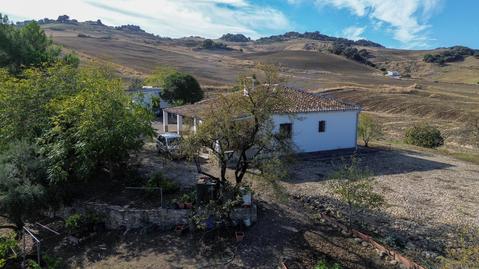 Plot for Sale in Montecorto