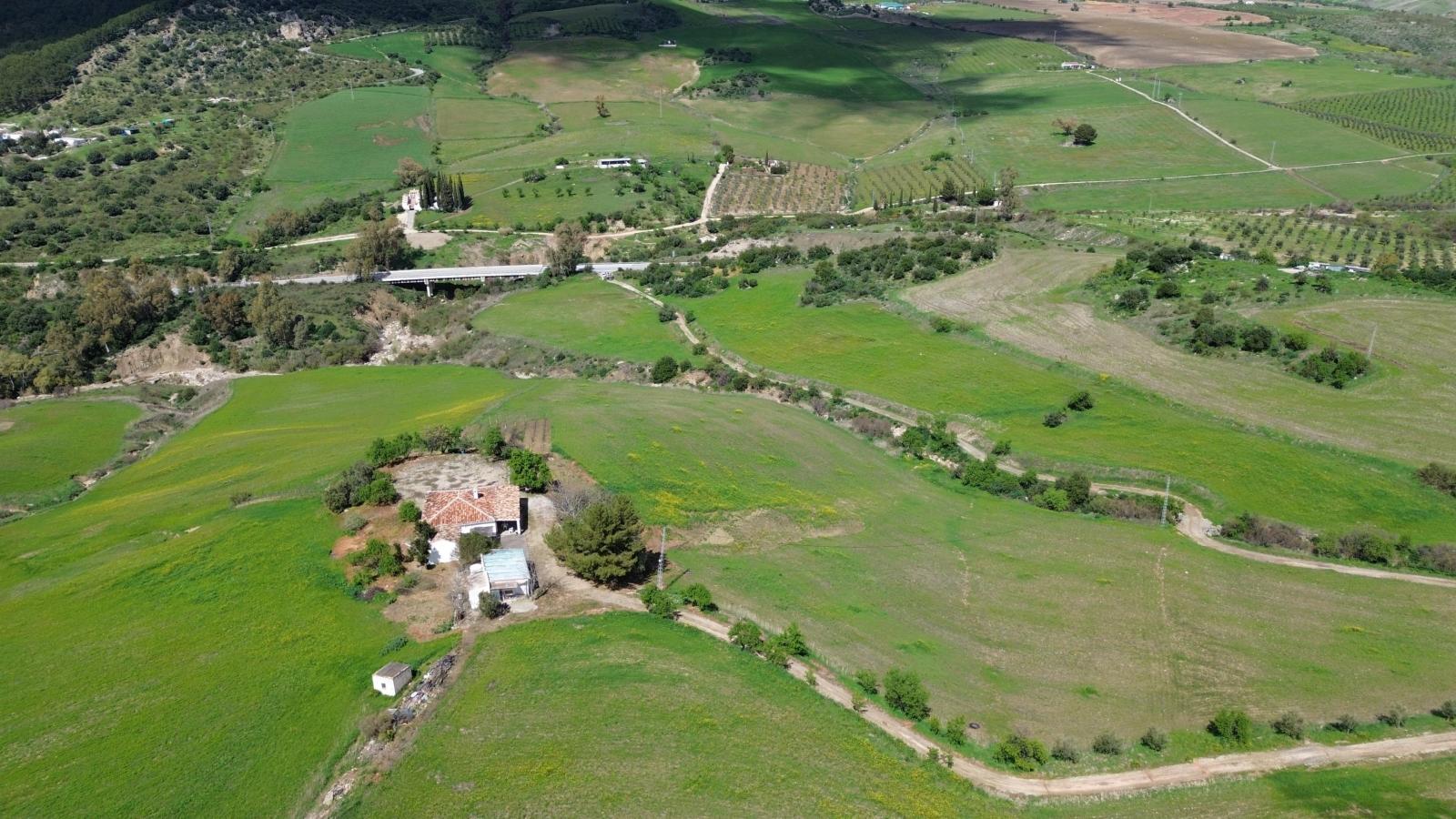 Plot for Sale in Montecorto
