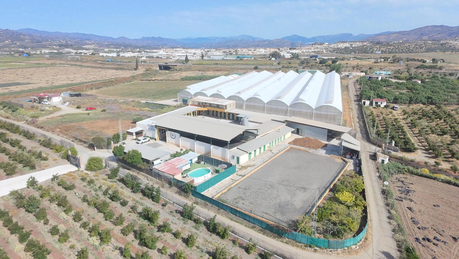 Villa for Sale in Vélez-Málaga